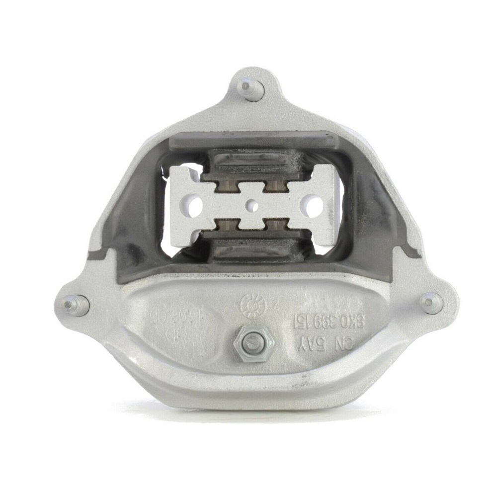 1C9925 2008-2018 for Audi A4 A5 A8 Quattro S8 R8 A4420 9925 EM-7202 Rear Trans Mount